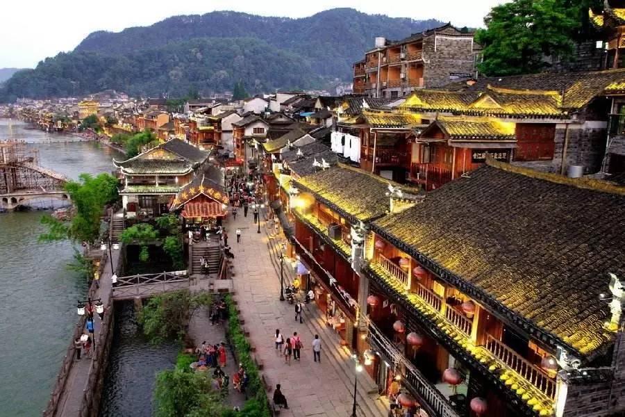 老母鸡三黄鸡哪个营养好?- 专业知识问答网页平台